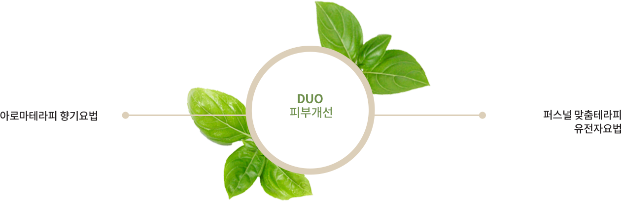아로마테라피 향기요법 - DUO 피부개선 - 퍼스널 맞춤테라피 유전자요법